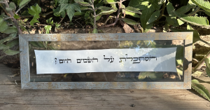 הסתכלת על השמים היום